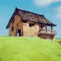 时间线